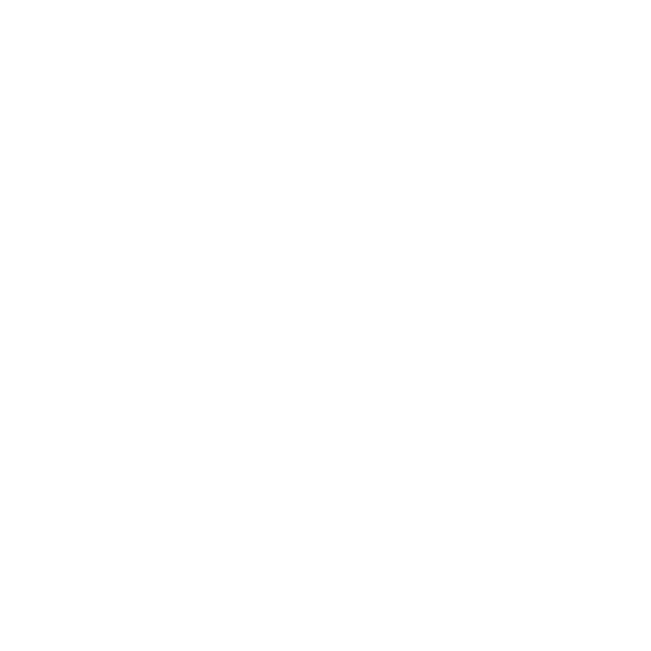 Users icon