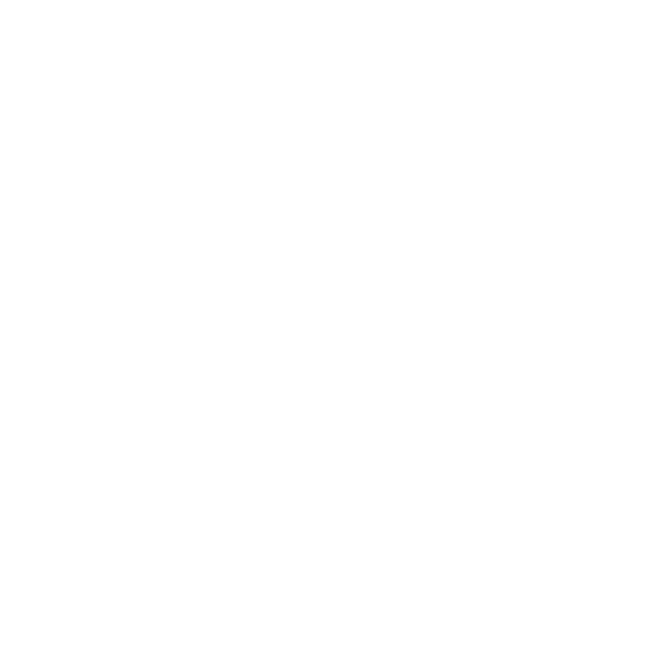 icon of shield